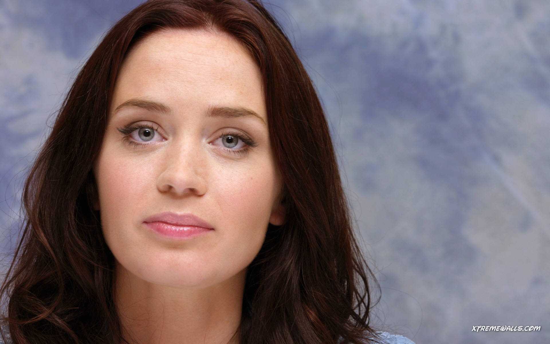 Emily Blunt Wallpaper Admin Paper House Listing Hollywoodf