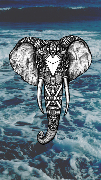 [47+] Cute Elephant Wallpapers Tumblr | Wallpapersafari.com