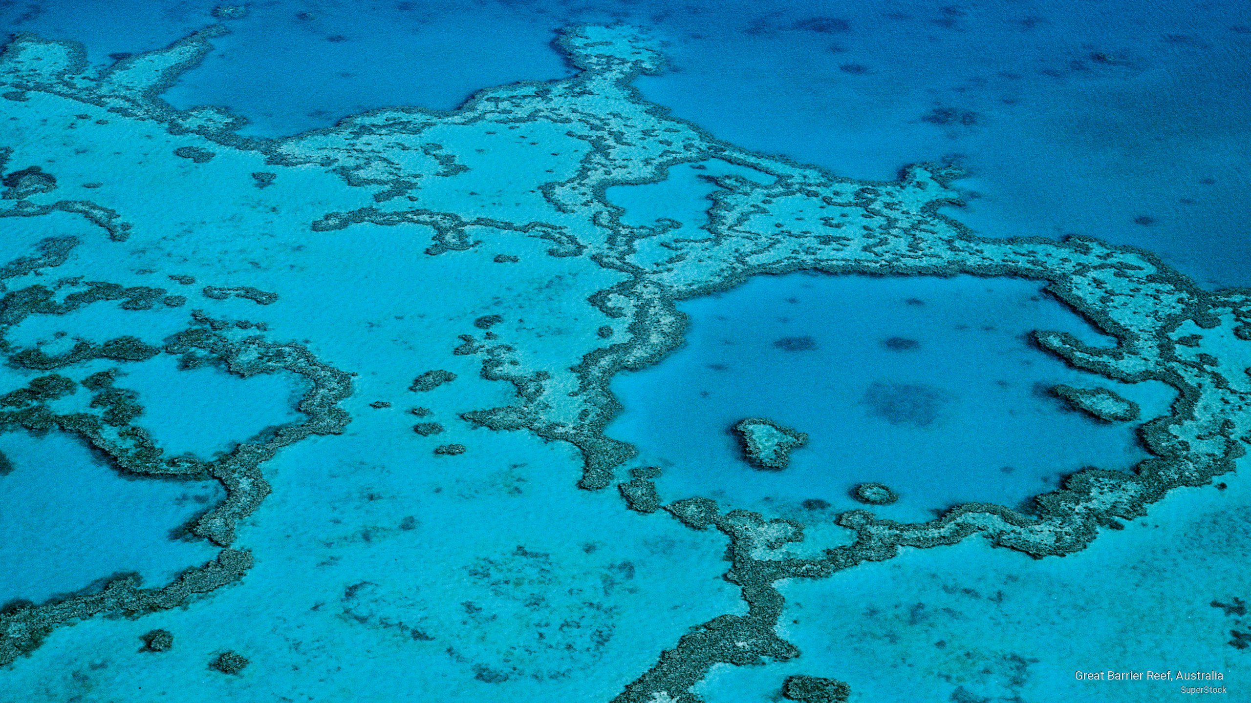 Webshots Great Barrier Reef Australia