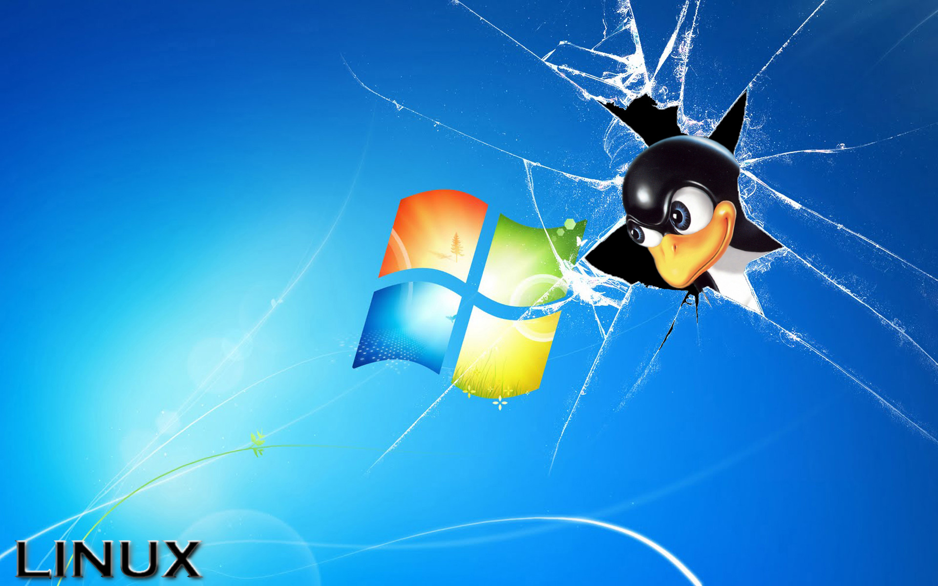 Windows Apesta Linux Febrero