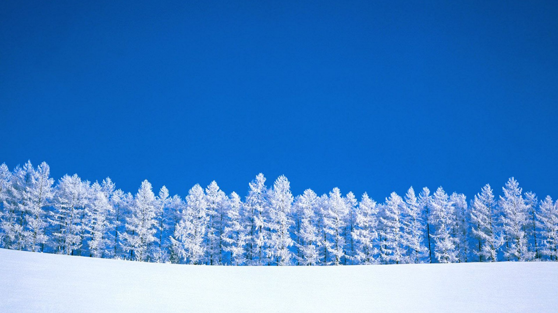 Winter Snow HD Wallpaper 1080p Desktop
