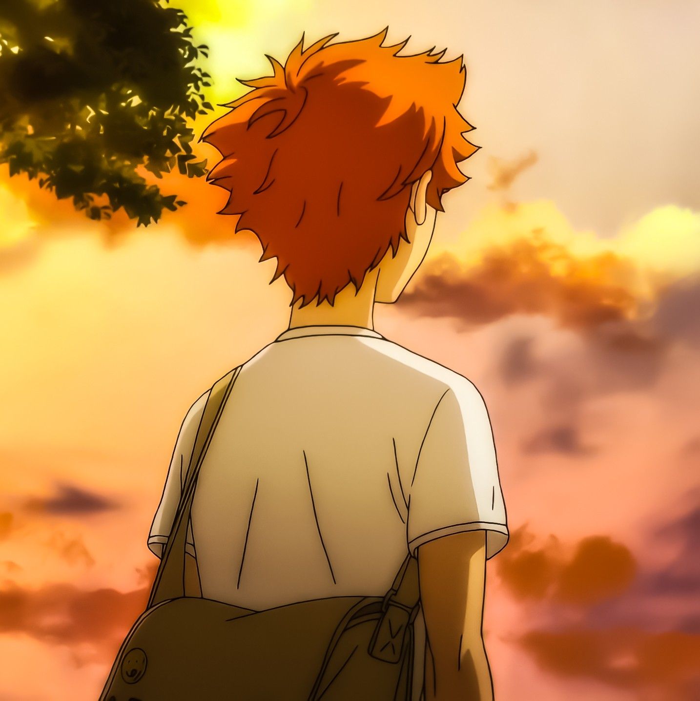 Shoyo T Ng Trong Wallpaper