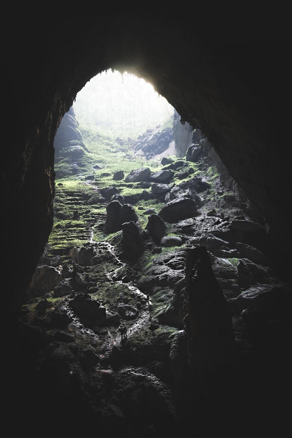 Son Doong Cave Pictures Image