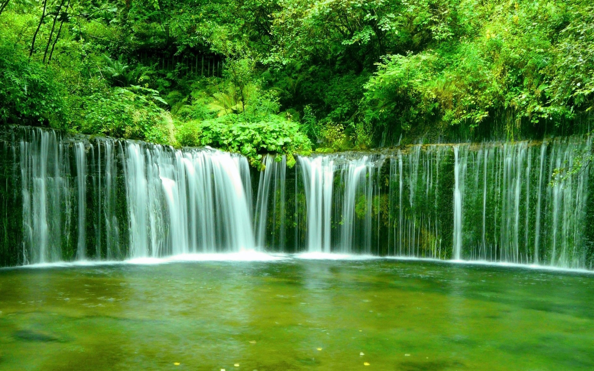 Waterfall In Forest 1920x1200 Wallpapers 1920x1200 Wallpapers
