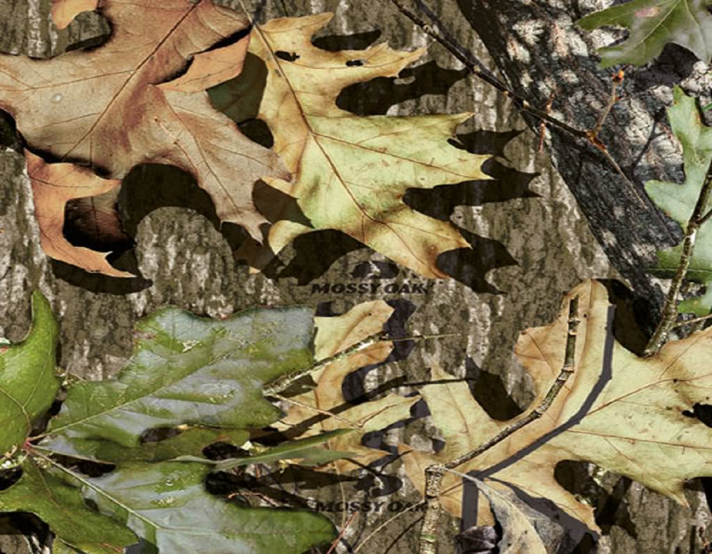 Mossy Oak Camouflage Wallpaper HD Image