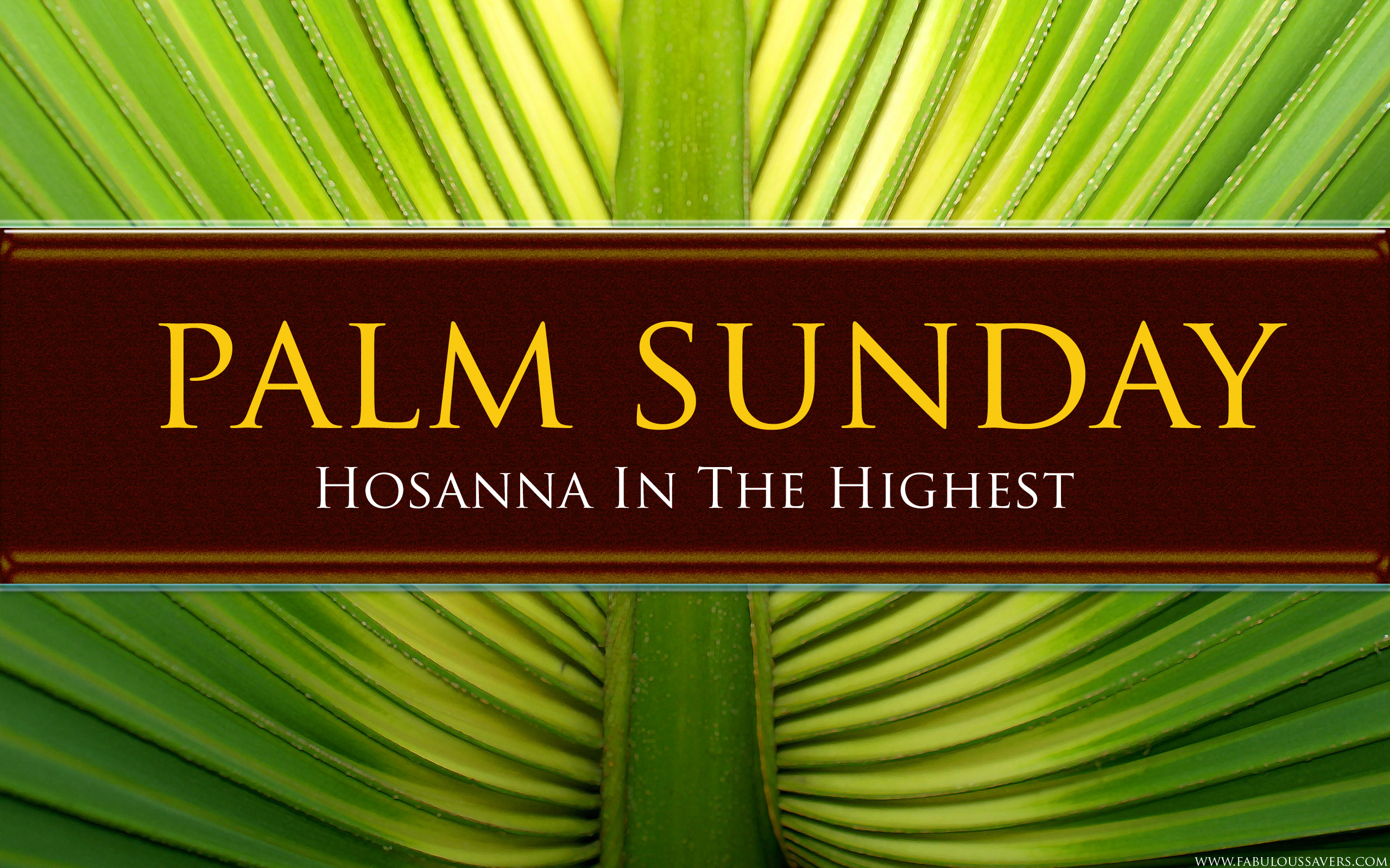 Palm Sunday Wallpapers HD Download 2560x1600 93829 KB 2560x1600