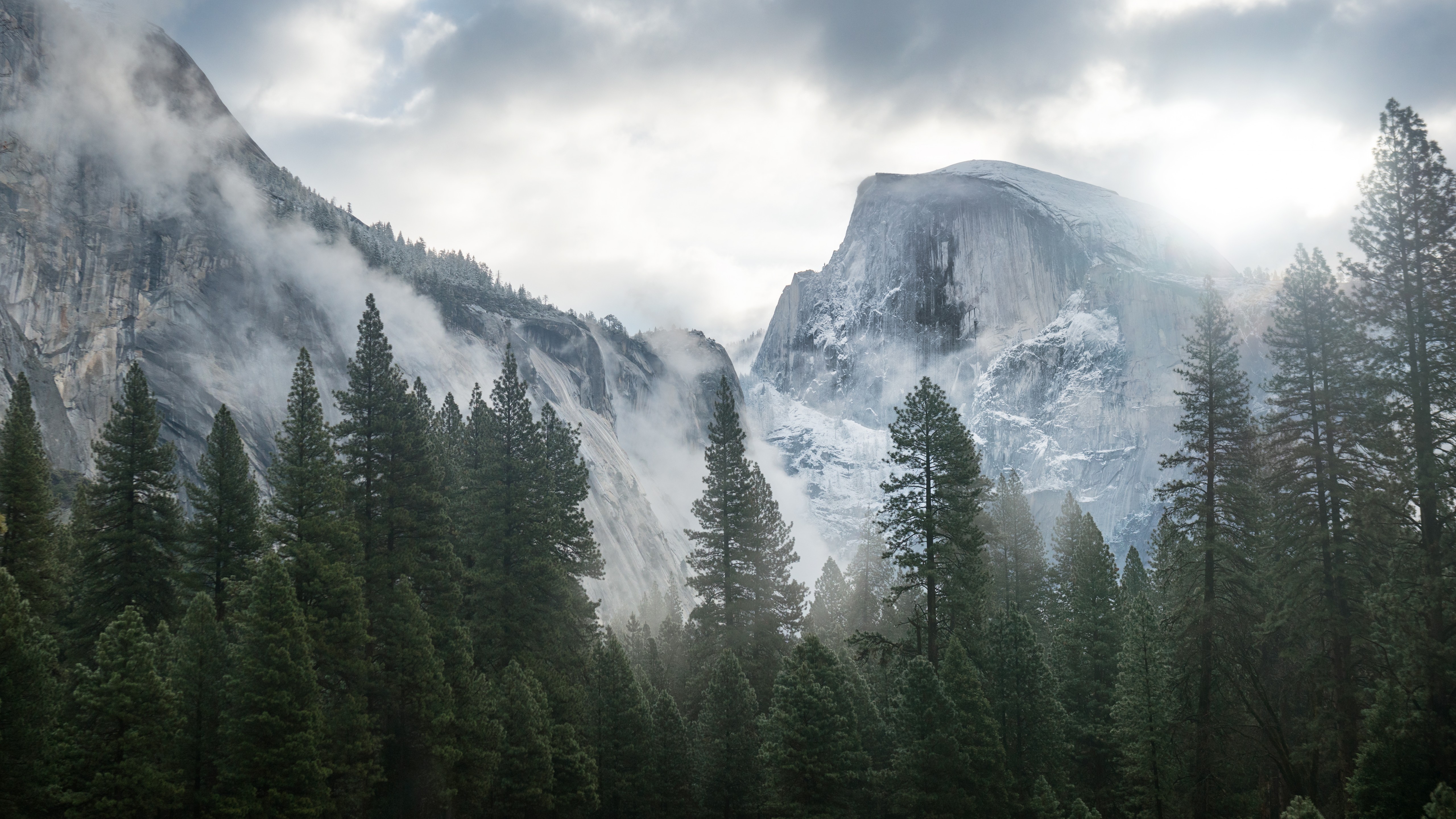 Wallpaper Yosemite 5k 4k 8k Forest Osx Apple