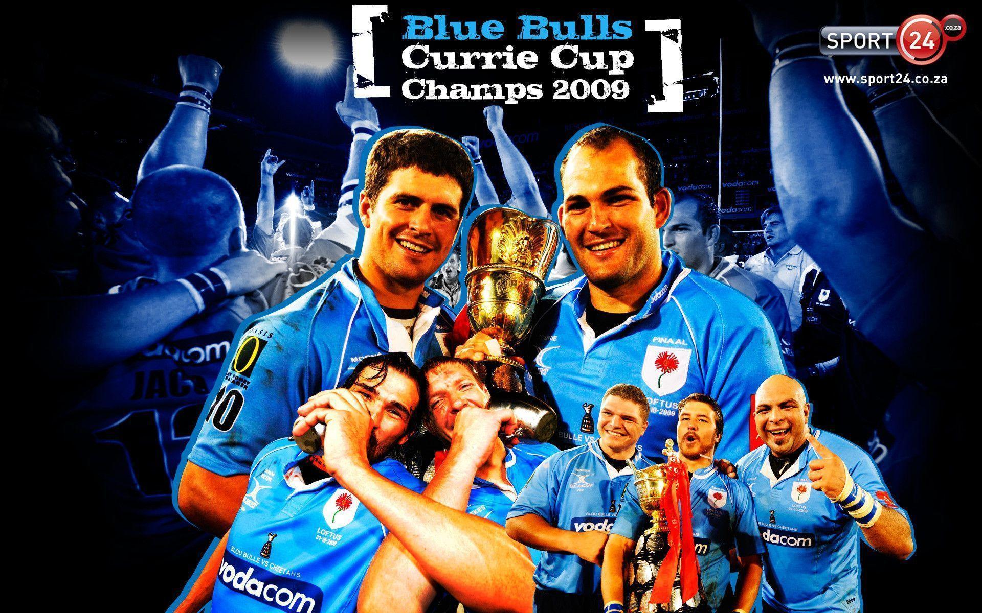 Free Download Blue Bulls Wallpaper By sgreer WallpaperSafari Free Download Blue Bulls Wallpaper By sgreer WallpaperSafari