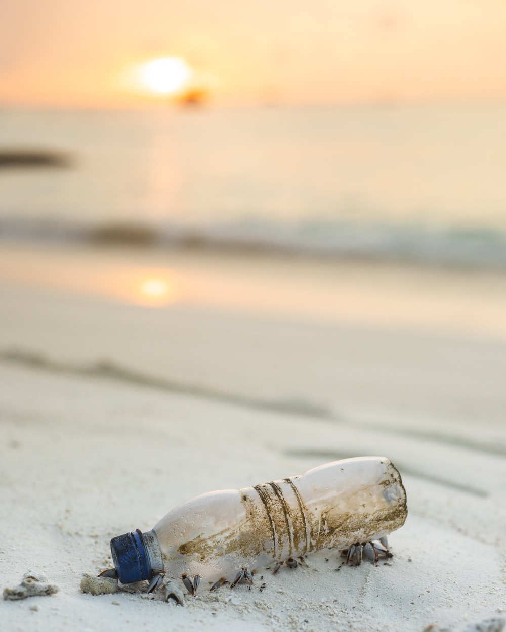Clear Plastic Bottle Beside Beach Photo Image On