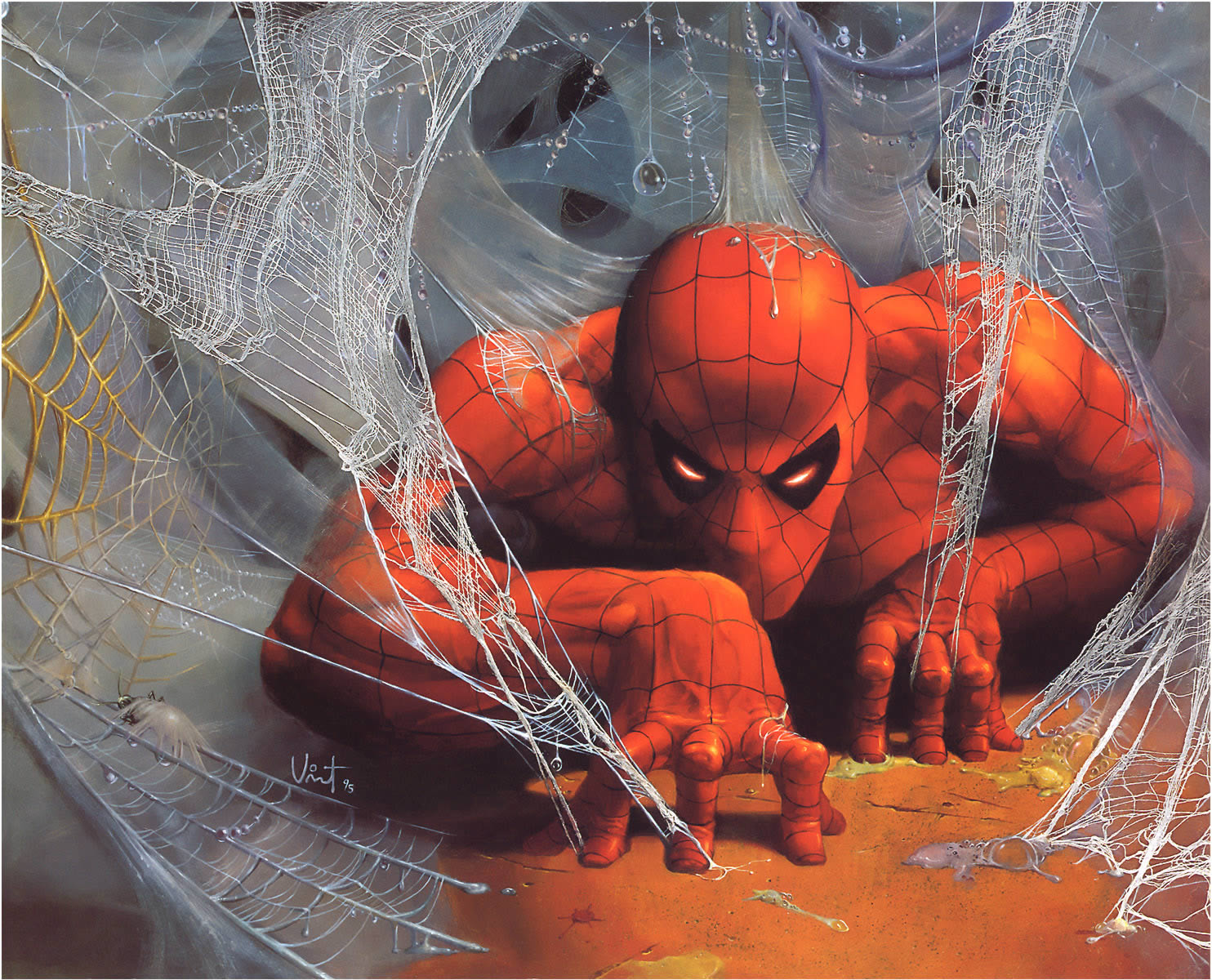 Web Of Spider Man Marvel Ic Book Cartoons Wallpaper Picture