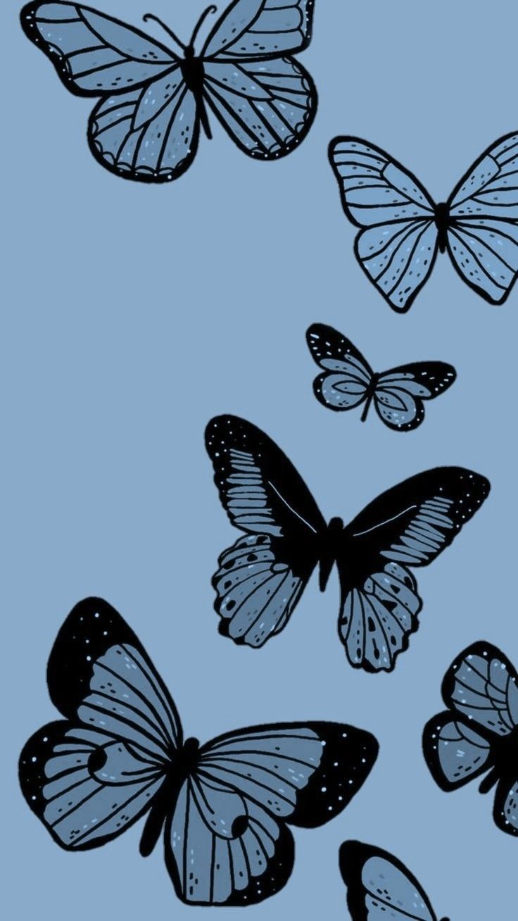 Butterfly Wallpaper For Iphone
