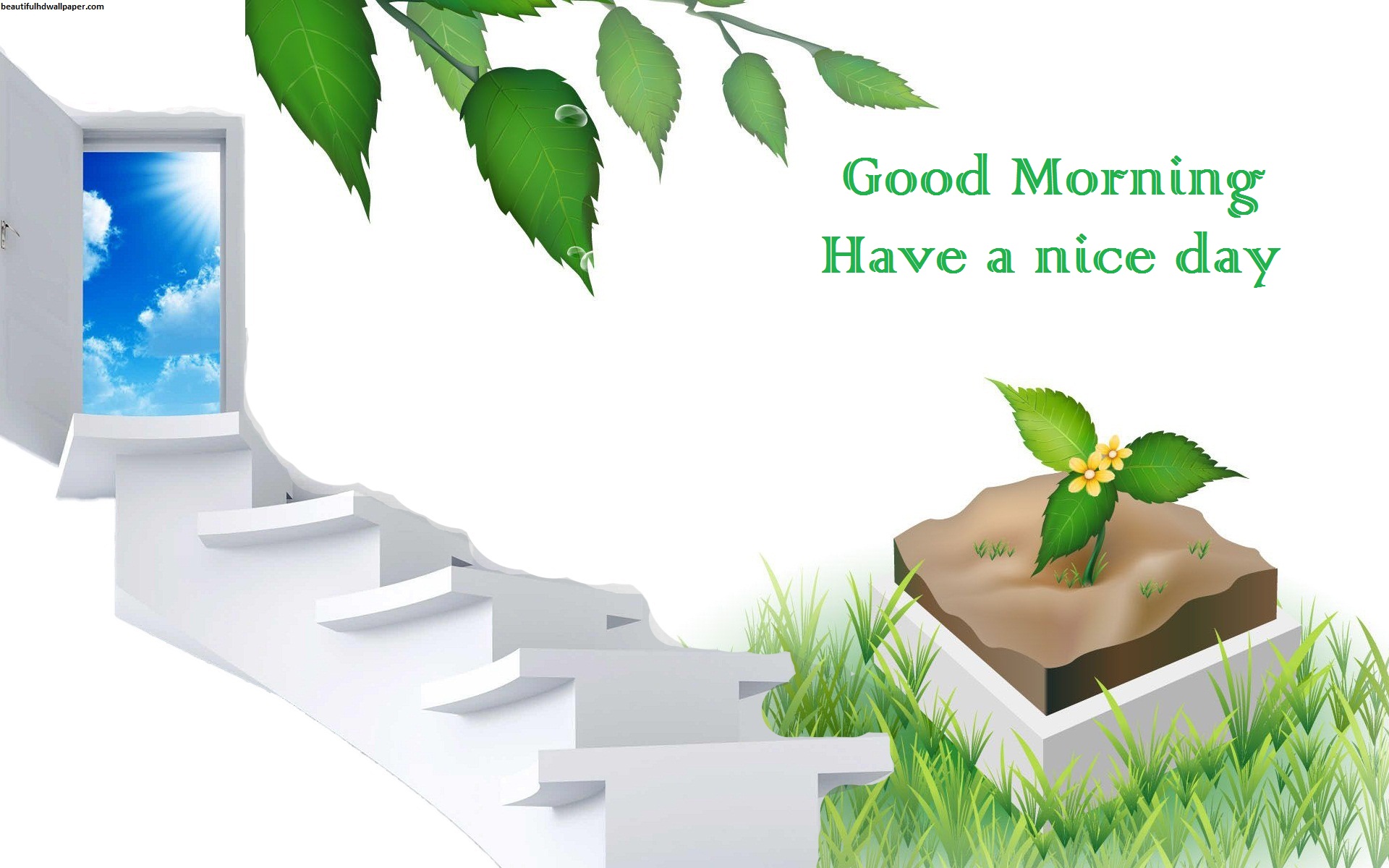 Good Morning Have A Nice Day Beautiful HD Wallpaper