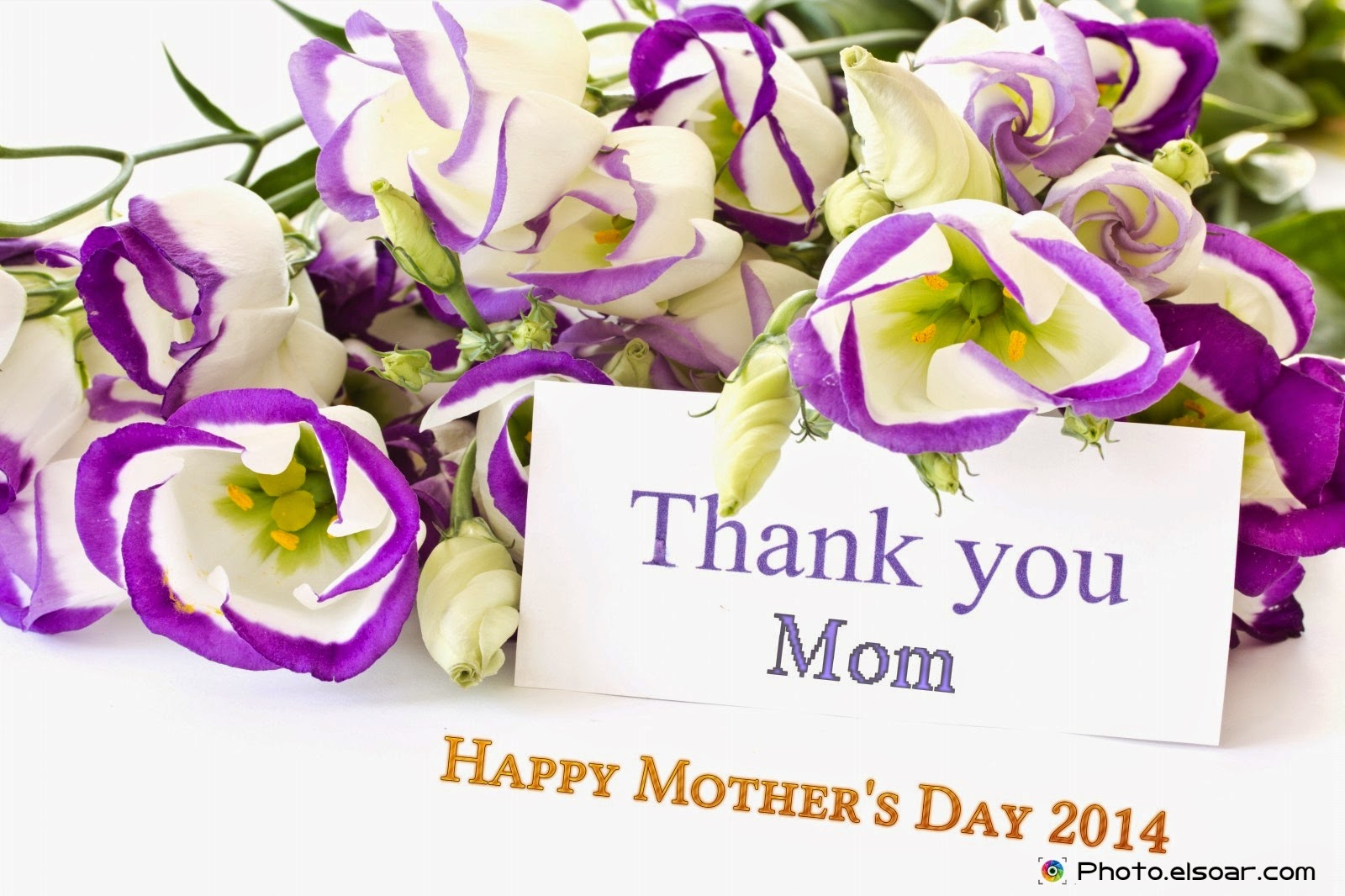 Best Mother S Day Special Wallpaper