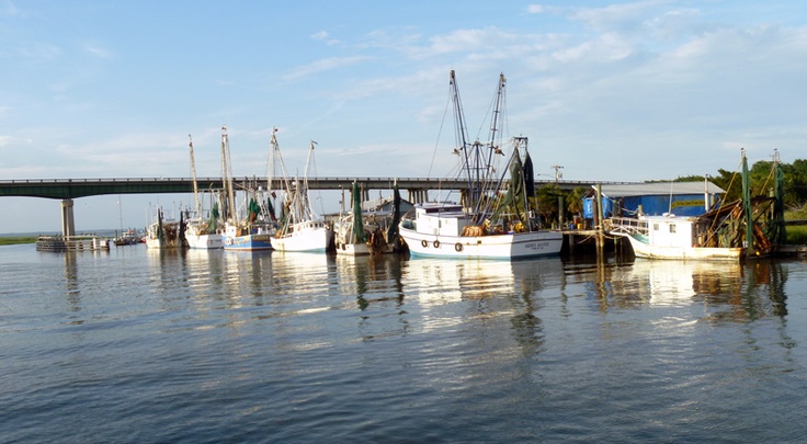 shrimp boats with the lazaretto creek bridge in the background