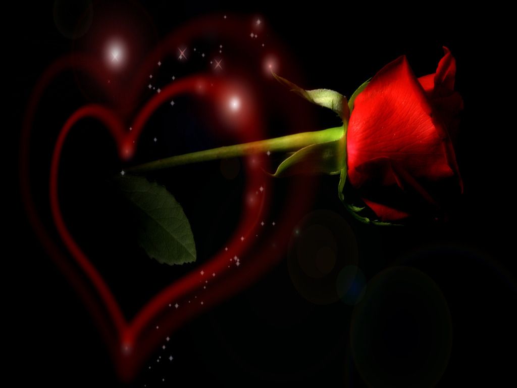 New Love Wallpaper Qygjxz
