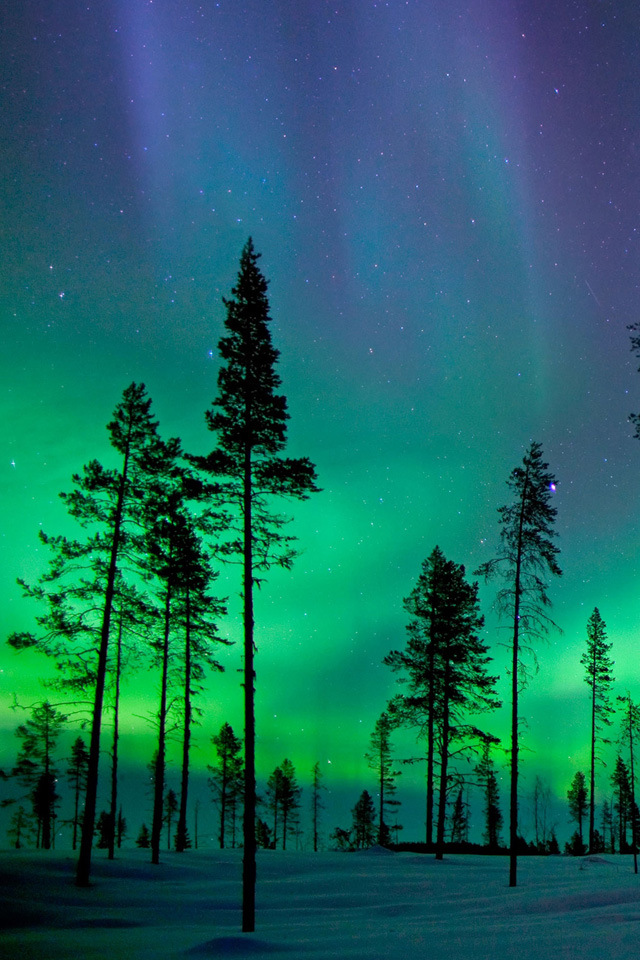Aurora Borealis nature Iceland LG V30 LG G6 iPhone Wallpapers Free Download