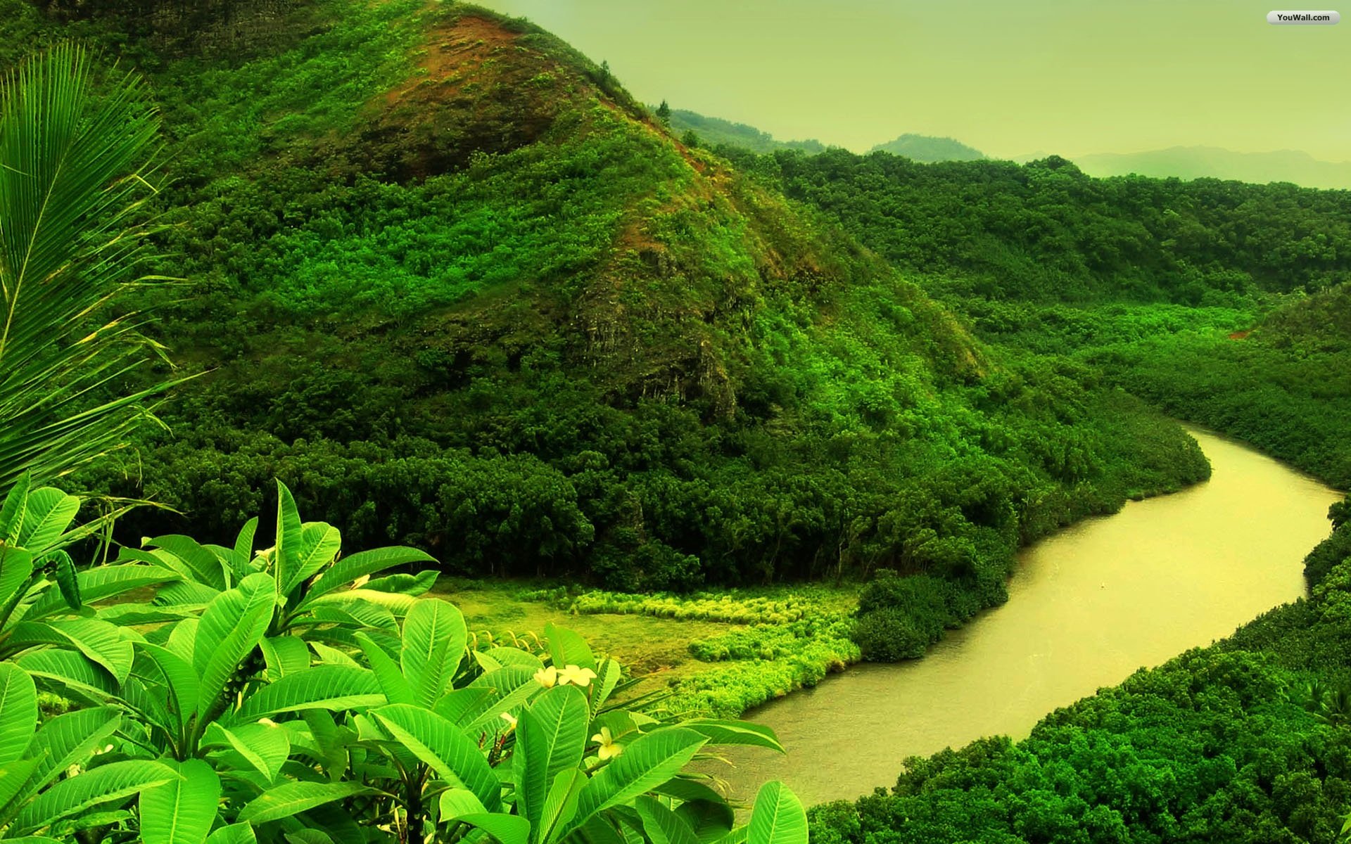 Youwall Forest River Wallpaper