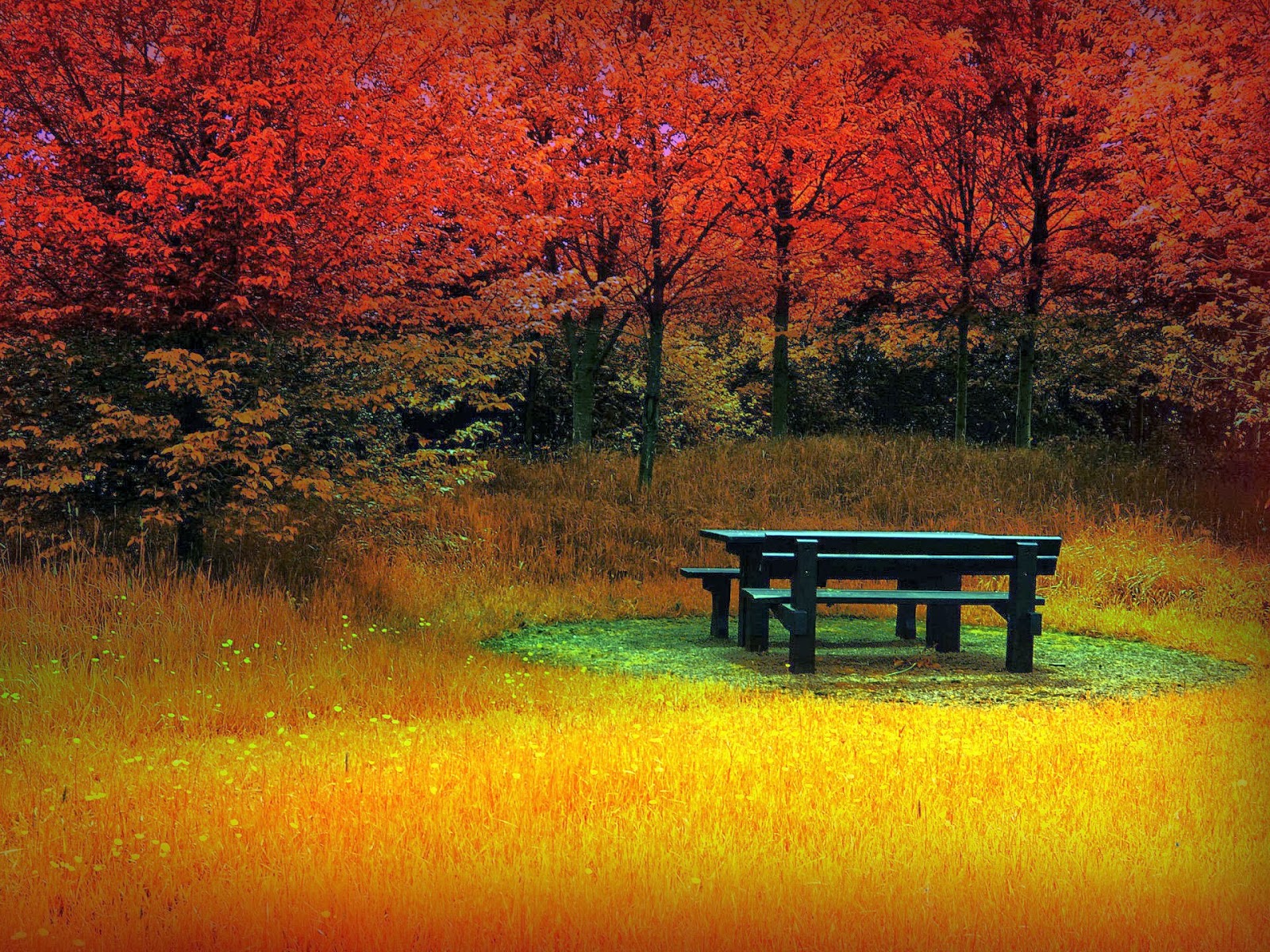 You Can Find Beautiful Autumn Wallpaper Of Landscapes