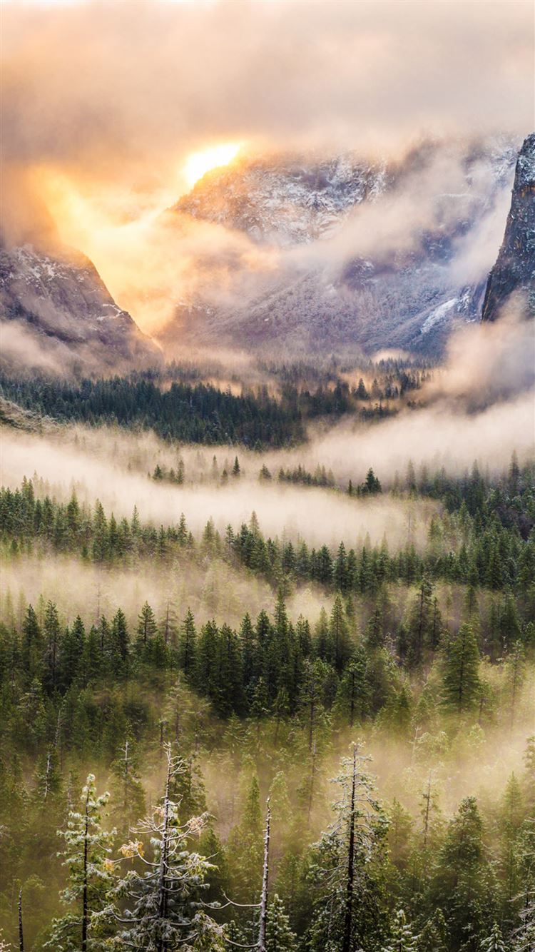 Nature Foggy Forest Mountains Landscape iPhone Wallpaper