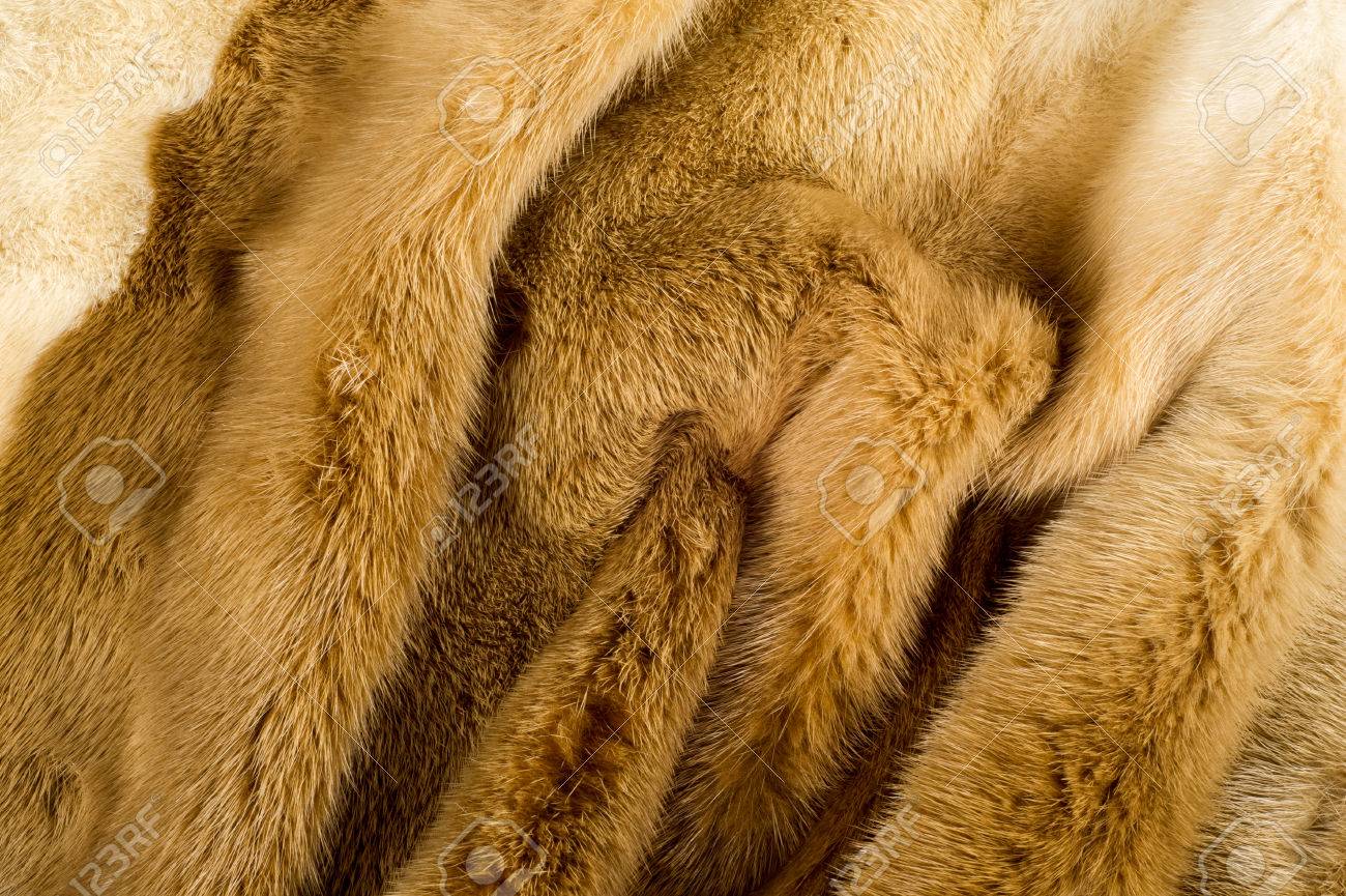 Free download Texture Background Mink Fur Mink Coat Gold Color Mink Fur