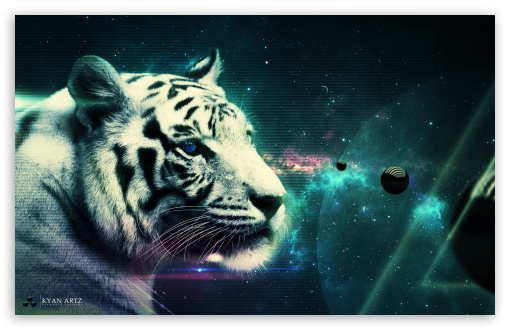 White Tiger HD wallpaper for Standard Fullscreen UXGA XGA SVGA