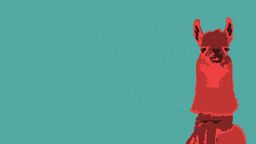 Llama Wallpaper Minimal From A Picture Of Llam