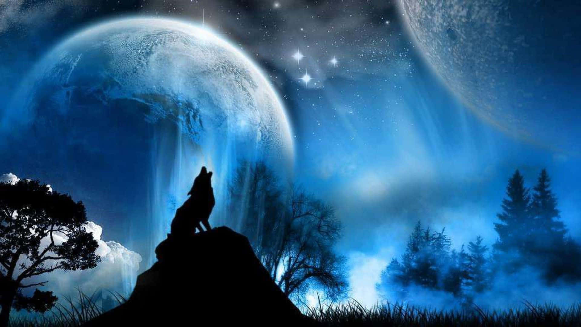 Wolf Aesthetic Wallpaper