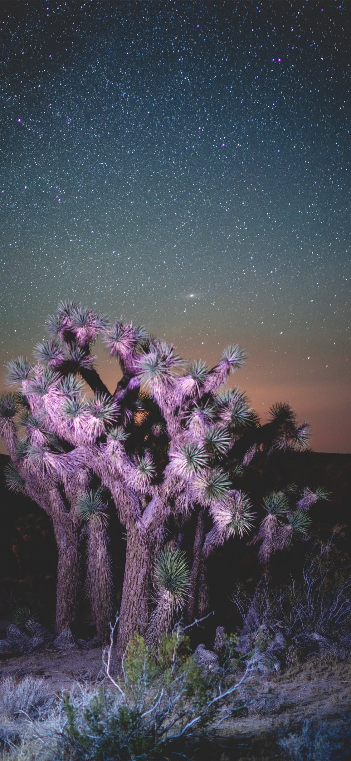 Desert Nights Iphone X Wallpaper