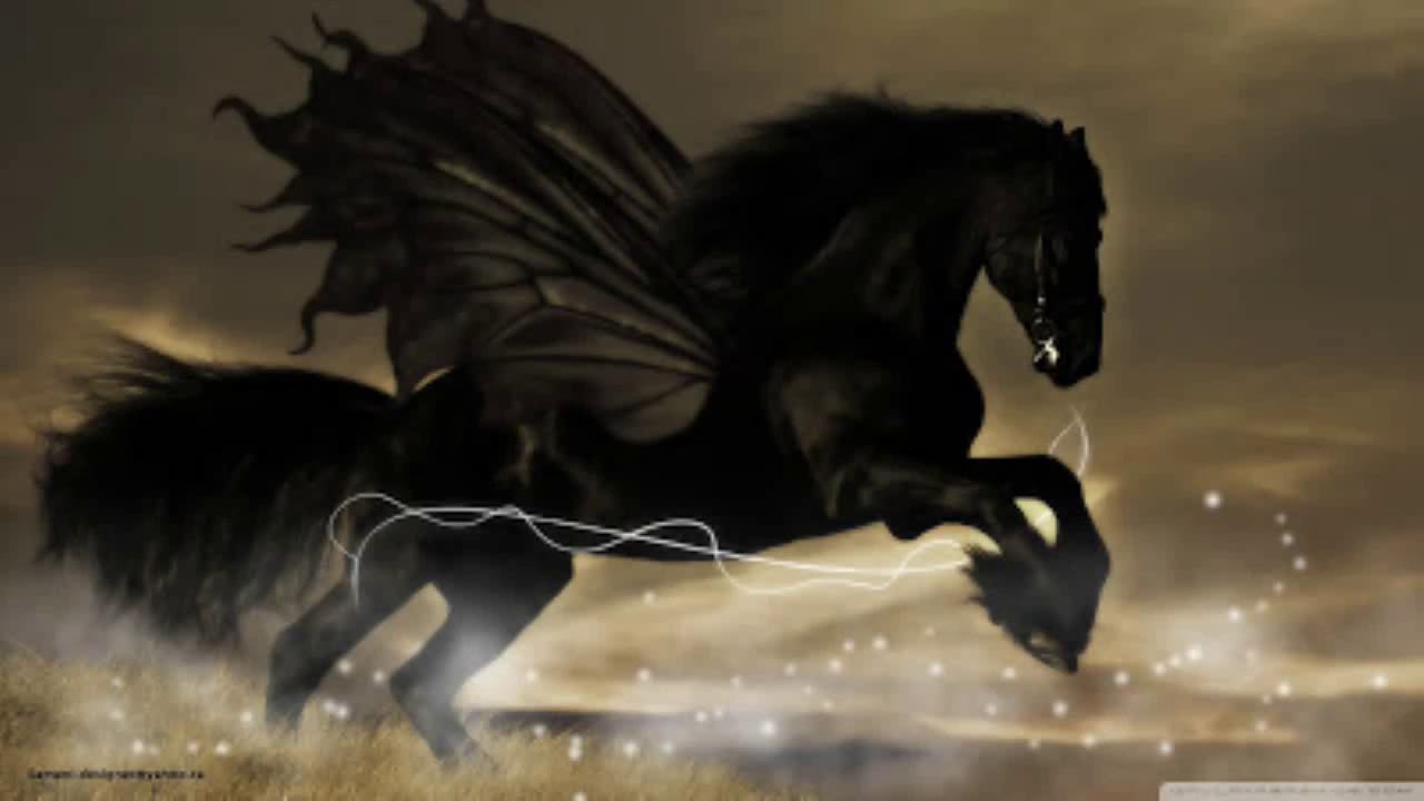 Beautiful Black Horse Wallpaper Image