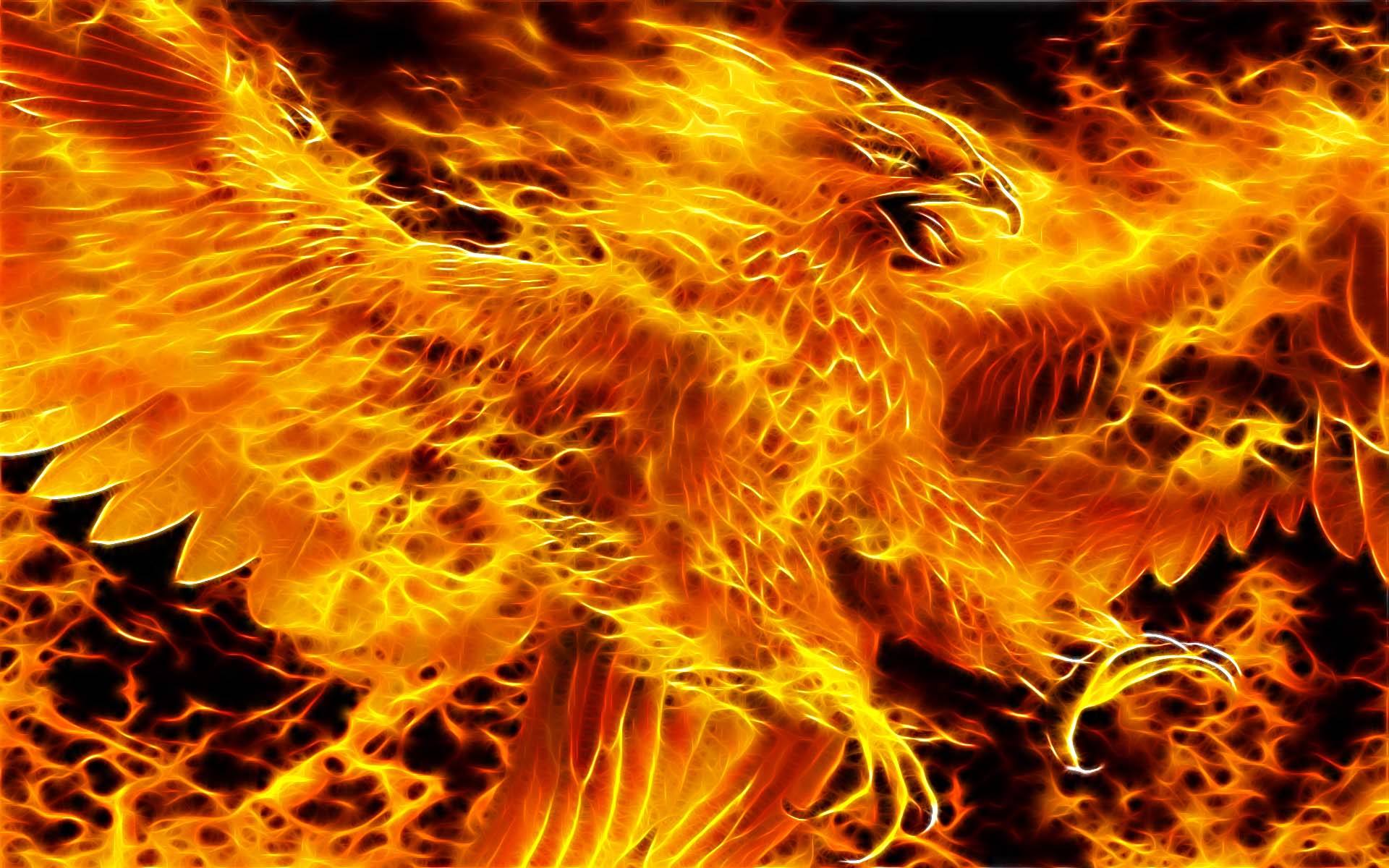 Abstract Beauty Phoenix Fire Blaze Heat Of Photoboats