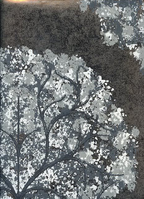 Silver Tree Wallpaper Max Uk And Ireland Postage Only
