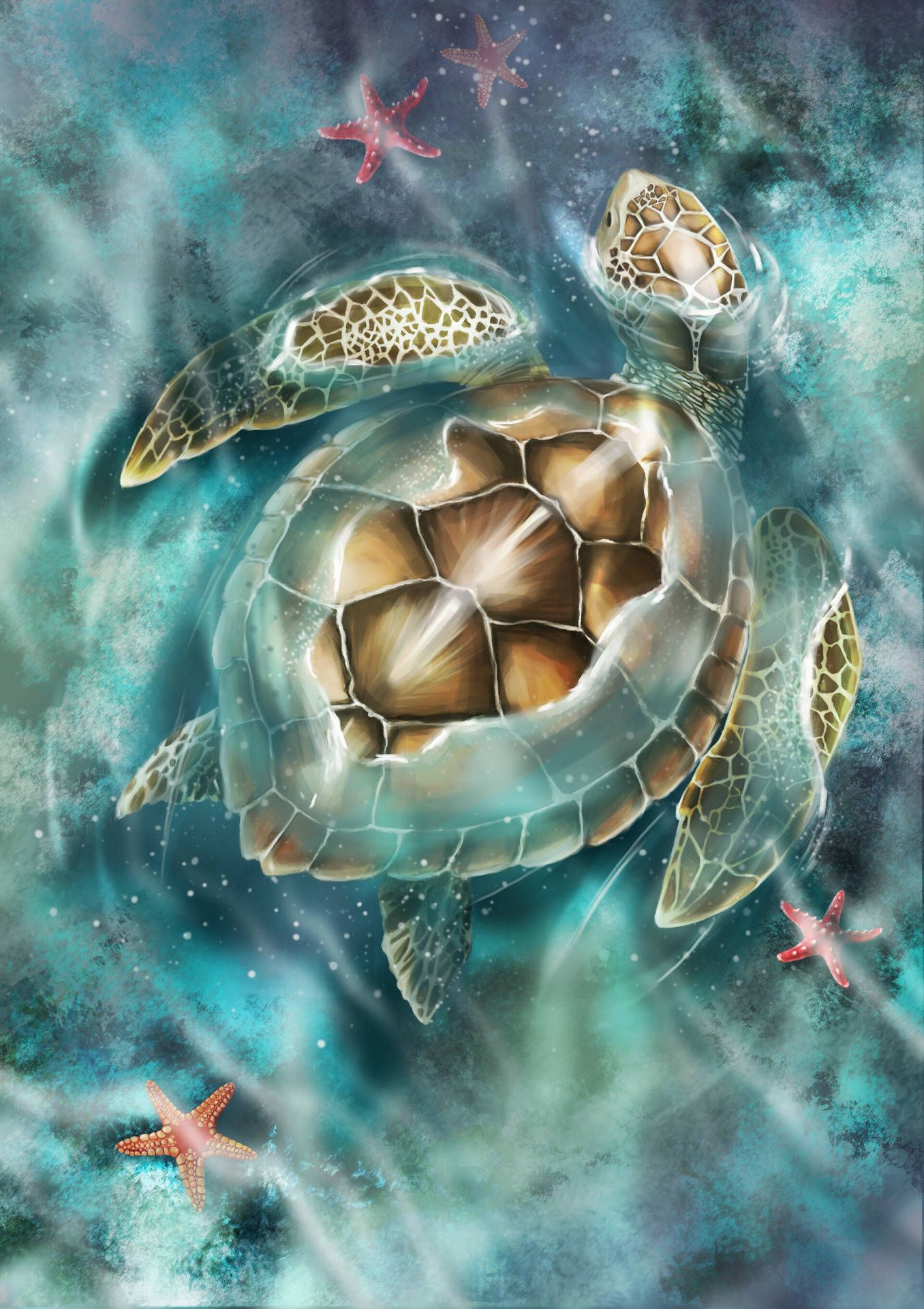 Cute Turtle Wallpaper