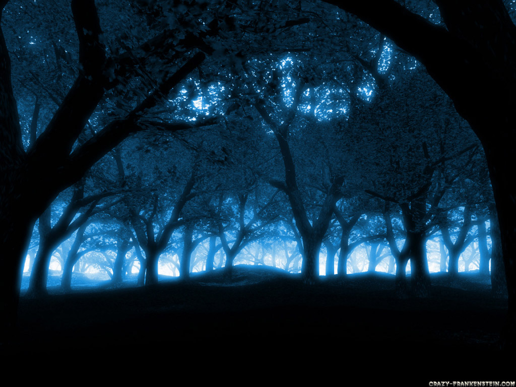 Free Download Blue Forest Wallpaper 520x245 Forest Wallpapers 1024x768