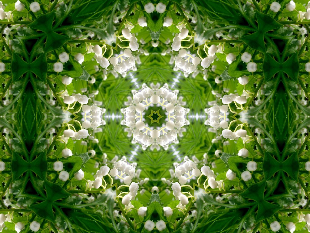 Mandala Wallpaper