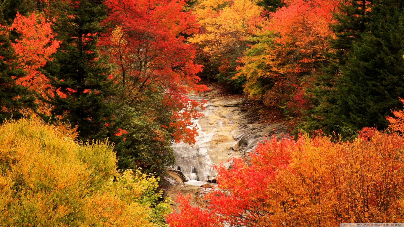 Blue Ridge Parkway North Carolina Autumn 4k HD Desktop