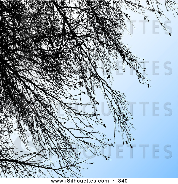  Gradient Blue Background with Black Silhouetted Tree Branches on Blue