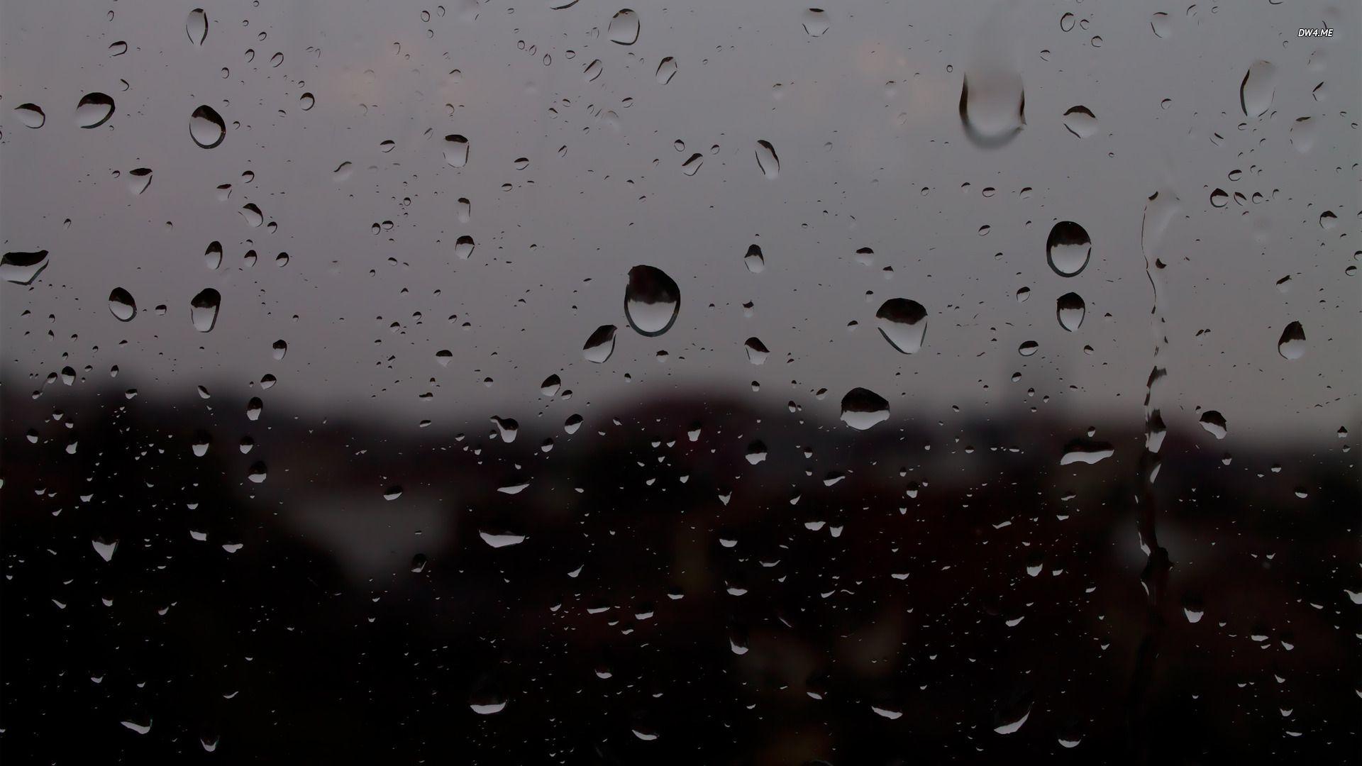 Wallpapers Of Raindrops