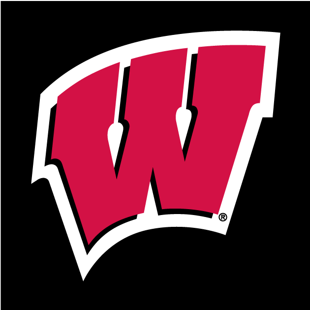 Wisconsin Badgers Logo Wallpaper 6246