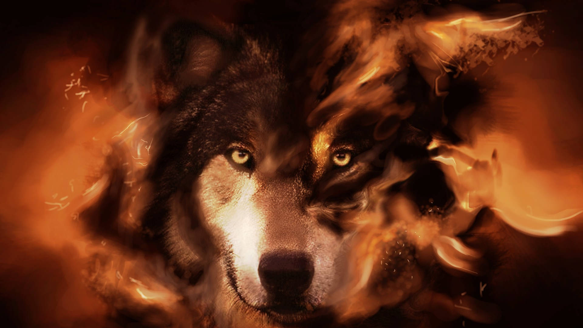 Wolf Background Wallpaper Image Pictures Design