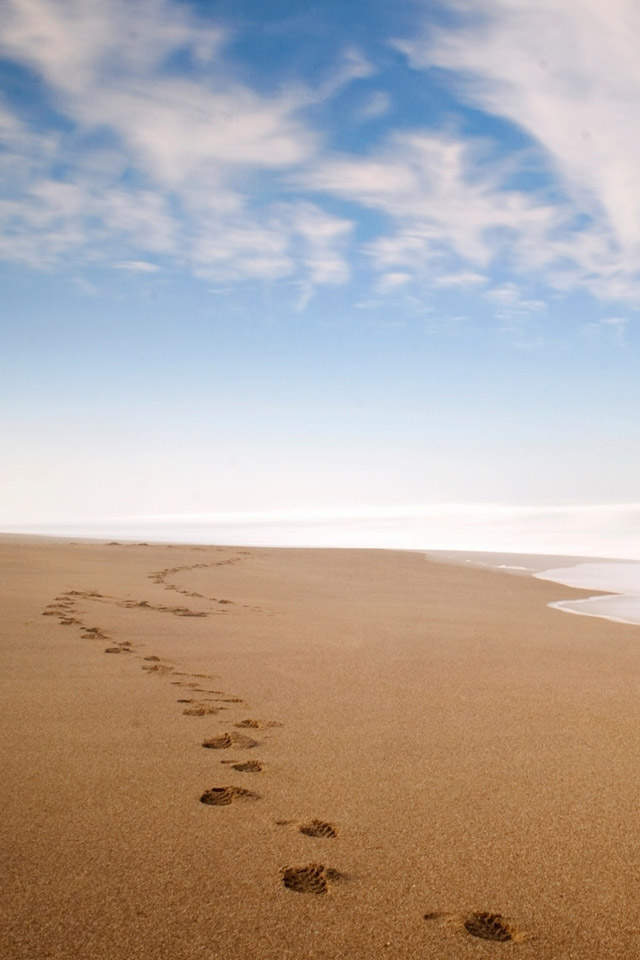 Footprints in the sand iPhone 4s Wallpaper Download iPhone