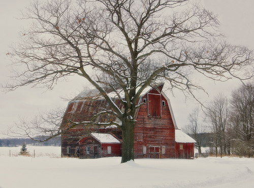 Red Barn In Winter Photo Sharing