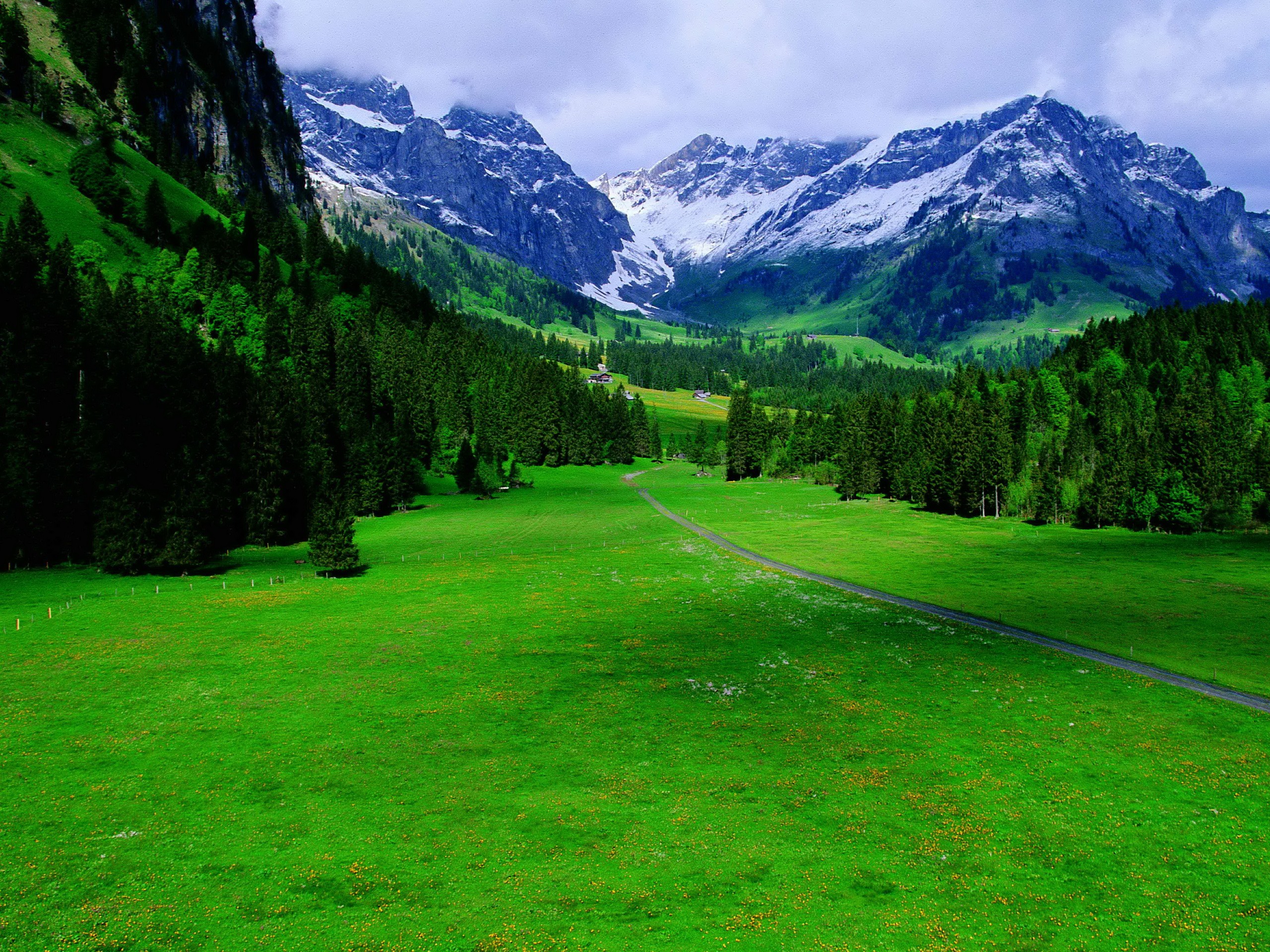 Green Landscapes Switzerland Wallpaper Background