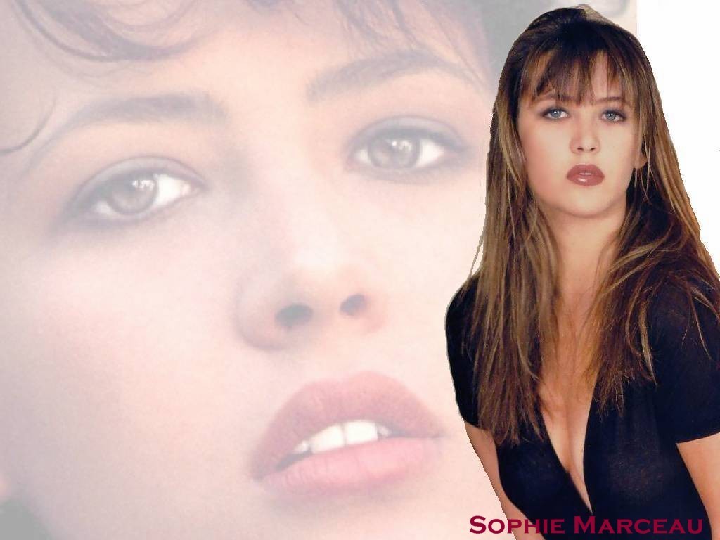 Sophie Marceau Image HD Wallpaper And