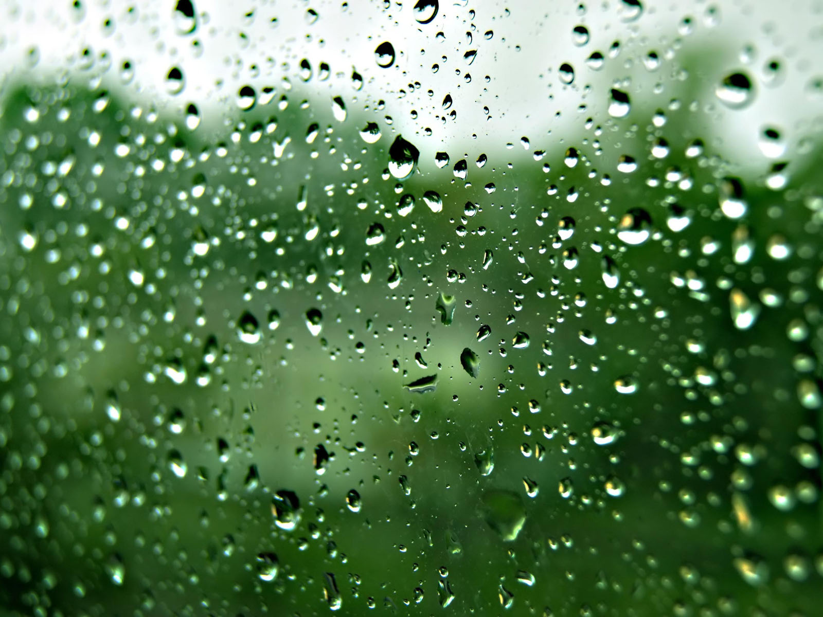 Rain Drops on Glass Wallpapers Desktop Wallpaper