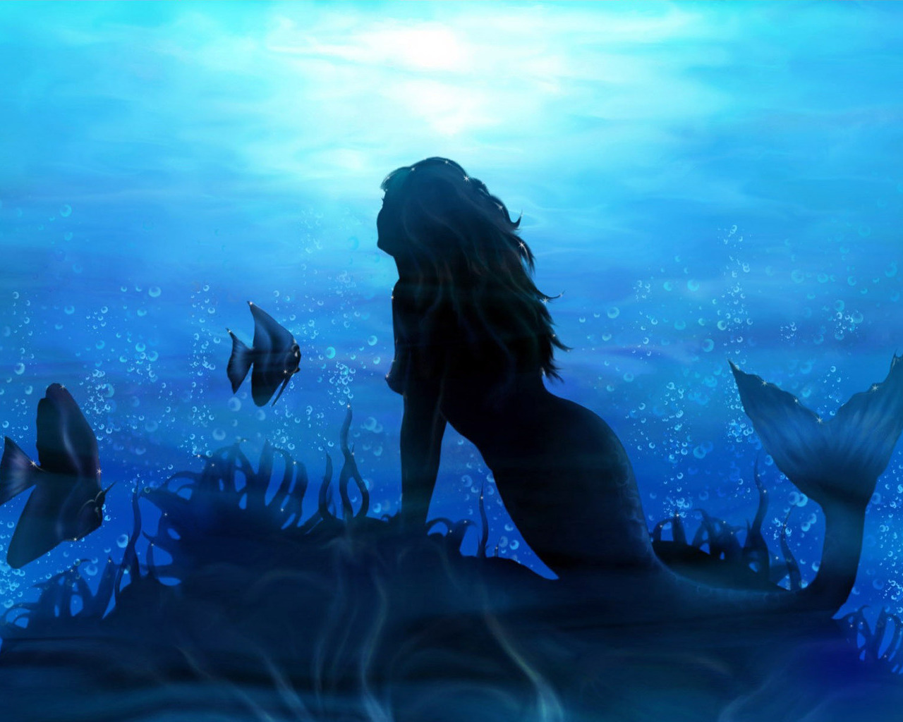 Pictures Mermaid 3d Image The Background For Your Desktop