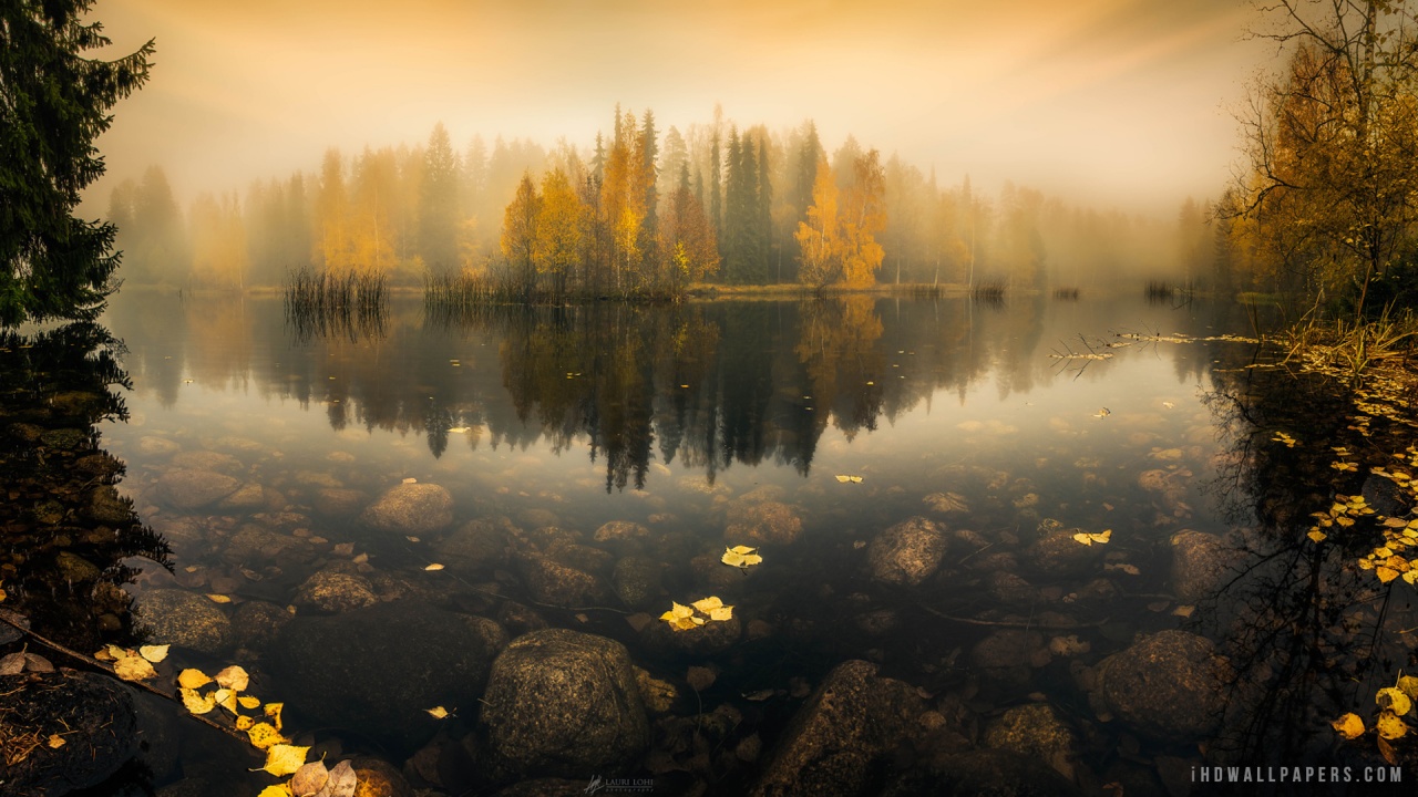 Foggy Lake In Finland Wallpaper