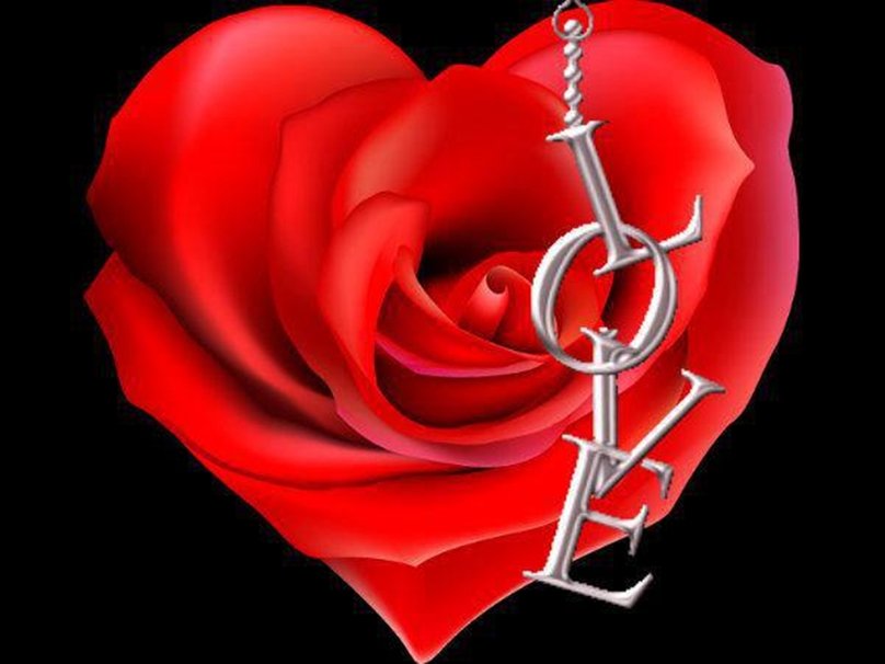 Heart Rose Wallpaper Of Red Roses