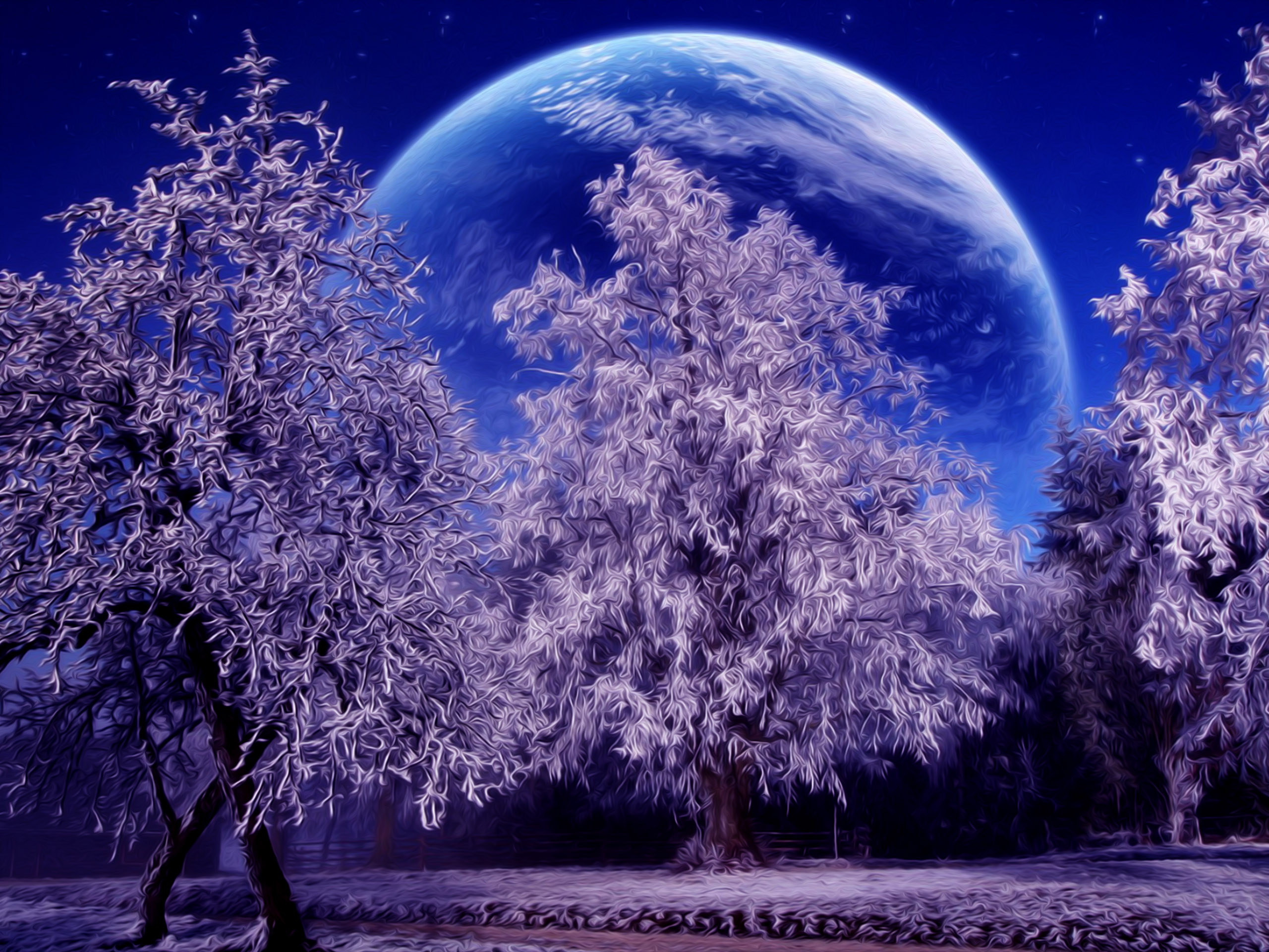 Winter Desktop Wallpapers for HD Widescreen and Mobile Page 2560x1920