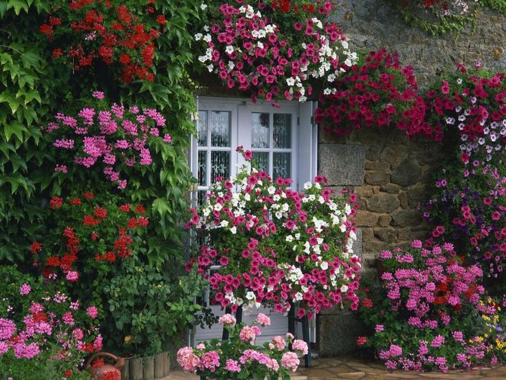 French Cottage Garden Flowers Galore Gardens And Outdoor Living