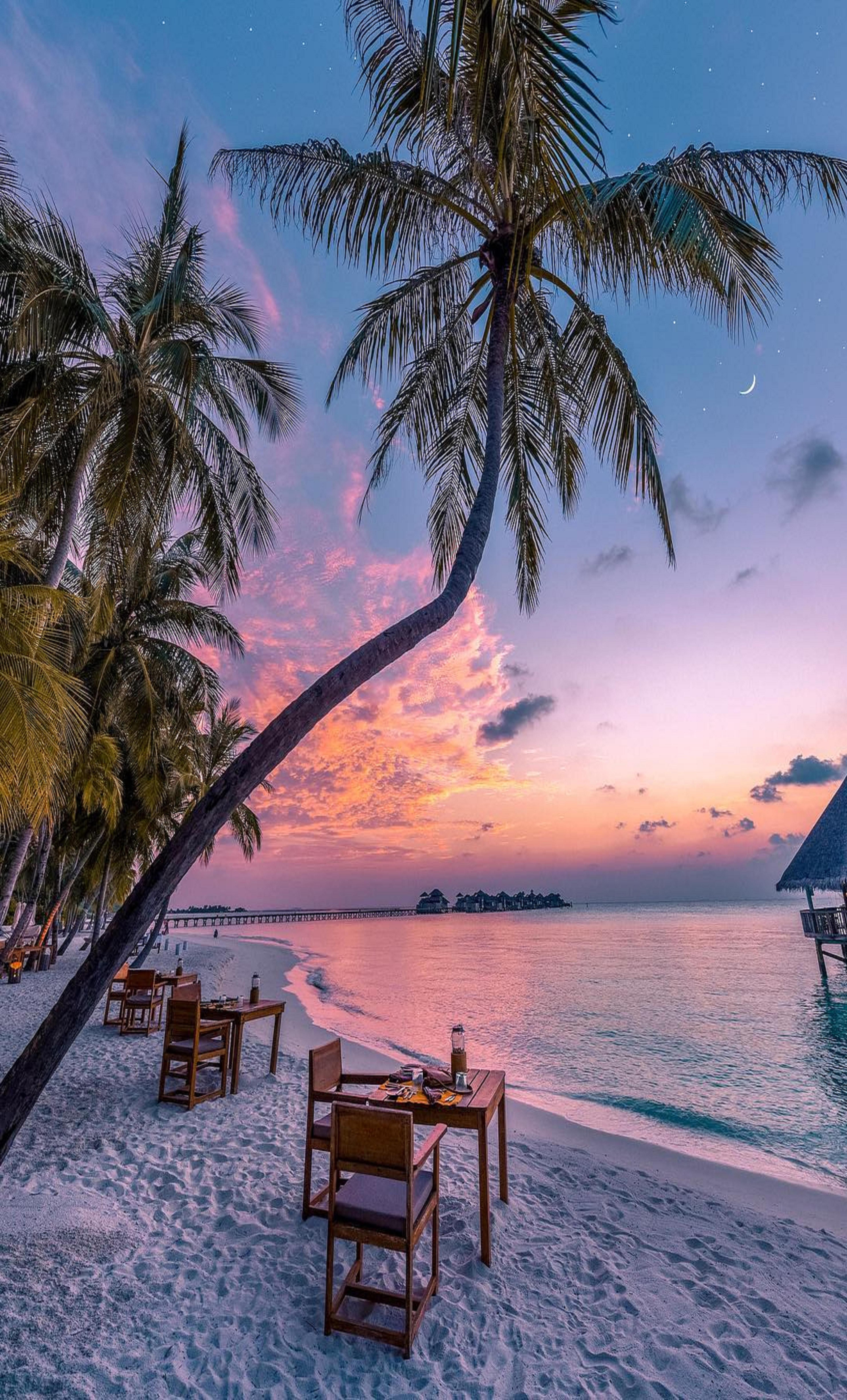 Maldives Wallpaper Artofit